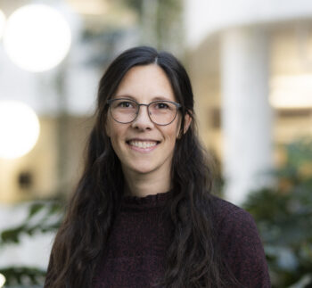 Novari IKS November 2025 Photo: nordsveenfoto.no